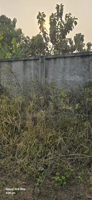 সেক্টর -১৪ বরাদ্দকৃত ৩ কাঠা ৭৫ ফুট প্রশস্ত রাস্তার প্লট বিক্রি
