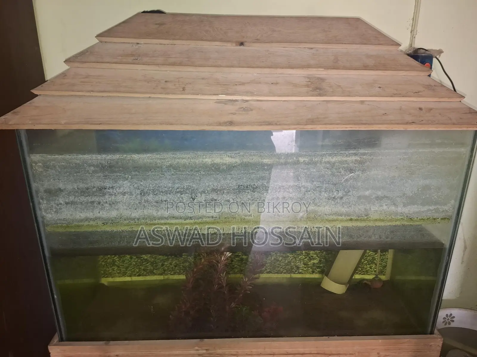 একুরিয়াম টি বিক্রি হবে