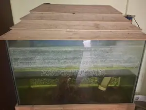 একুরিয়াম টি বিক্রি হবে
