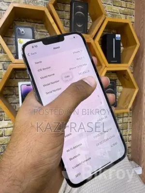 Apple iPhone 13 Pro Max (Used)