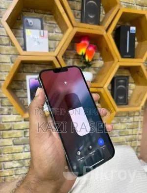 Apple iPhone 13 Pro Max (Used)