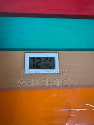 Fully Automatic 56-Egg Incubator