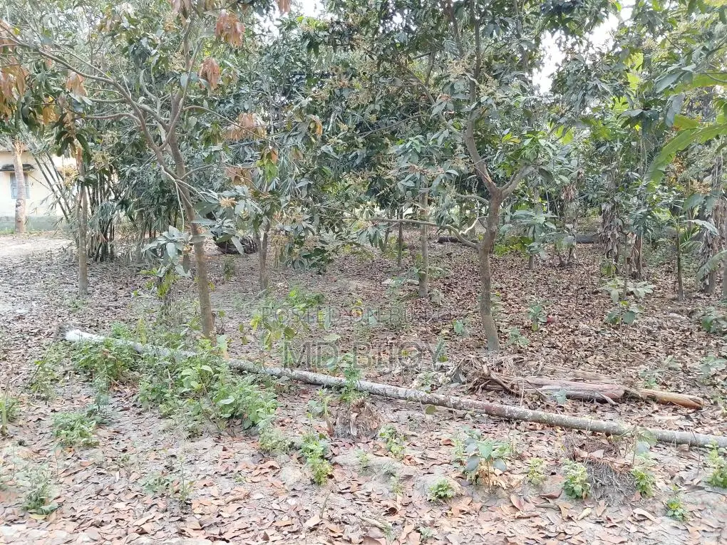 Land For Sale at Low Price