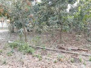 Land For Sale at Low Price