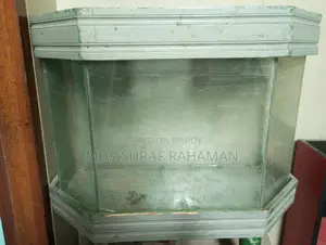 একুরিয়াম