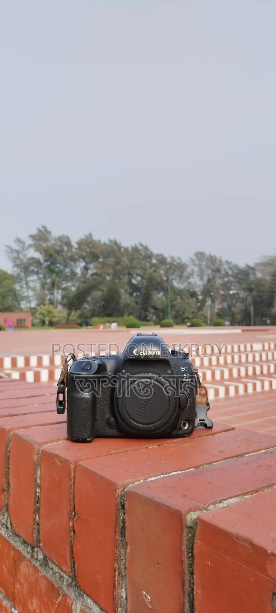 Camera and Lens