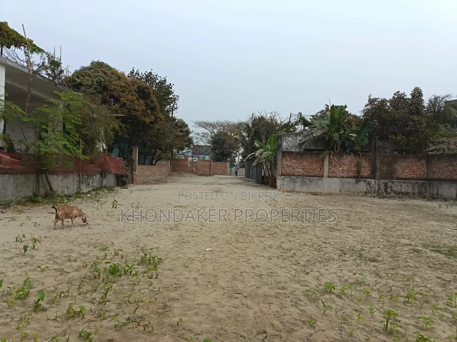 মাস্টারপাড়া শাহী মসজিদ সংলগ্ন ১০.৫ কাঠা পূর্বমুখী G+9 প্রজেক্ট শেয়ার |