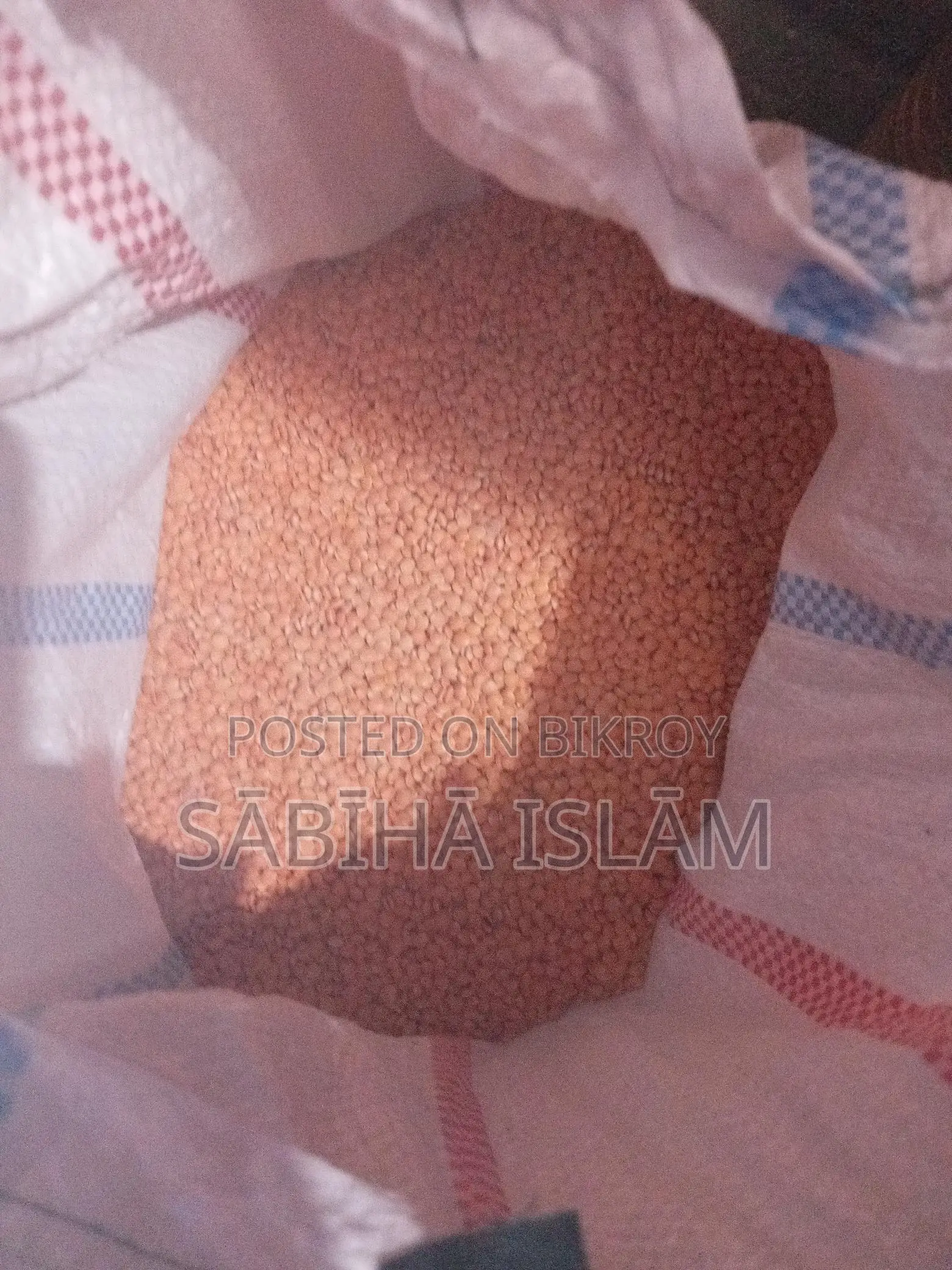 মোটা মসুরি ডাল