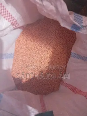 মোটা মসুরি ডাল