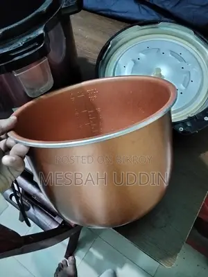 Miyako Electric Pressure Cooker