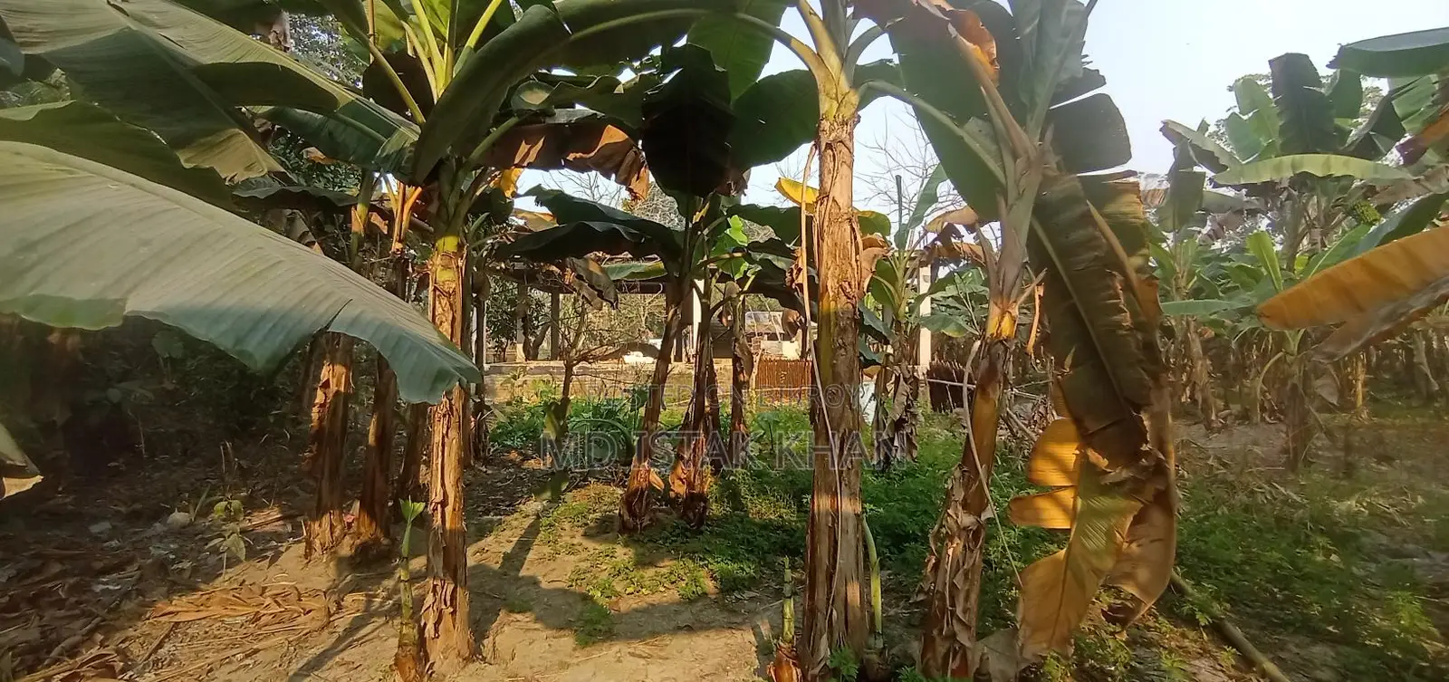 তিন শতাংশ জমি বিক্রয় হইবে পবহাটি মৌজা ঝিনাইদহ হদর