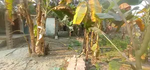 তিন শতাংশ জমি বিক্রয় হইবে পবহাটি মৌজা ঝিনাইদহ হদর
