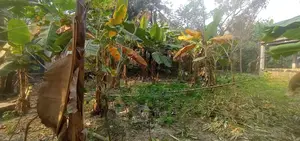 তিন শতাংশ জমি বিক্রয় হইবে পবহাটি মৌজা ঝিনাইদহ হদর