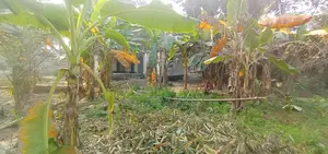 তিন শতাংশ জমি বিক্রয় হইবে পবহাটি মৌজা ঝিনাইদহ হদর
