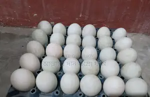 Native Duck Eggs for Sale