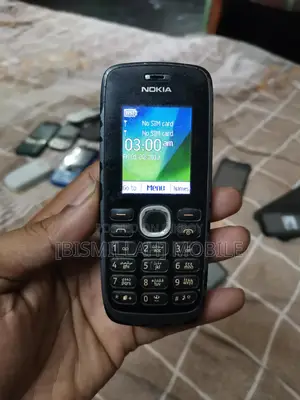 Nokia 110 (Used)