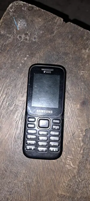 Samsung Guru Music 2 2023 (Used)