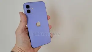 Apple iPhone 12 (Used)