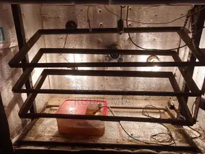 ইনকুবেটর