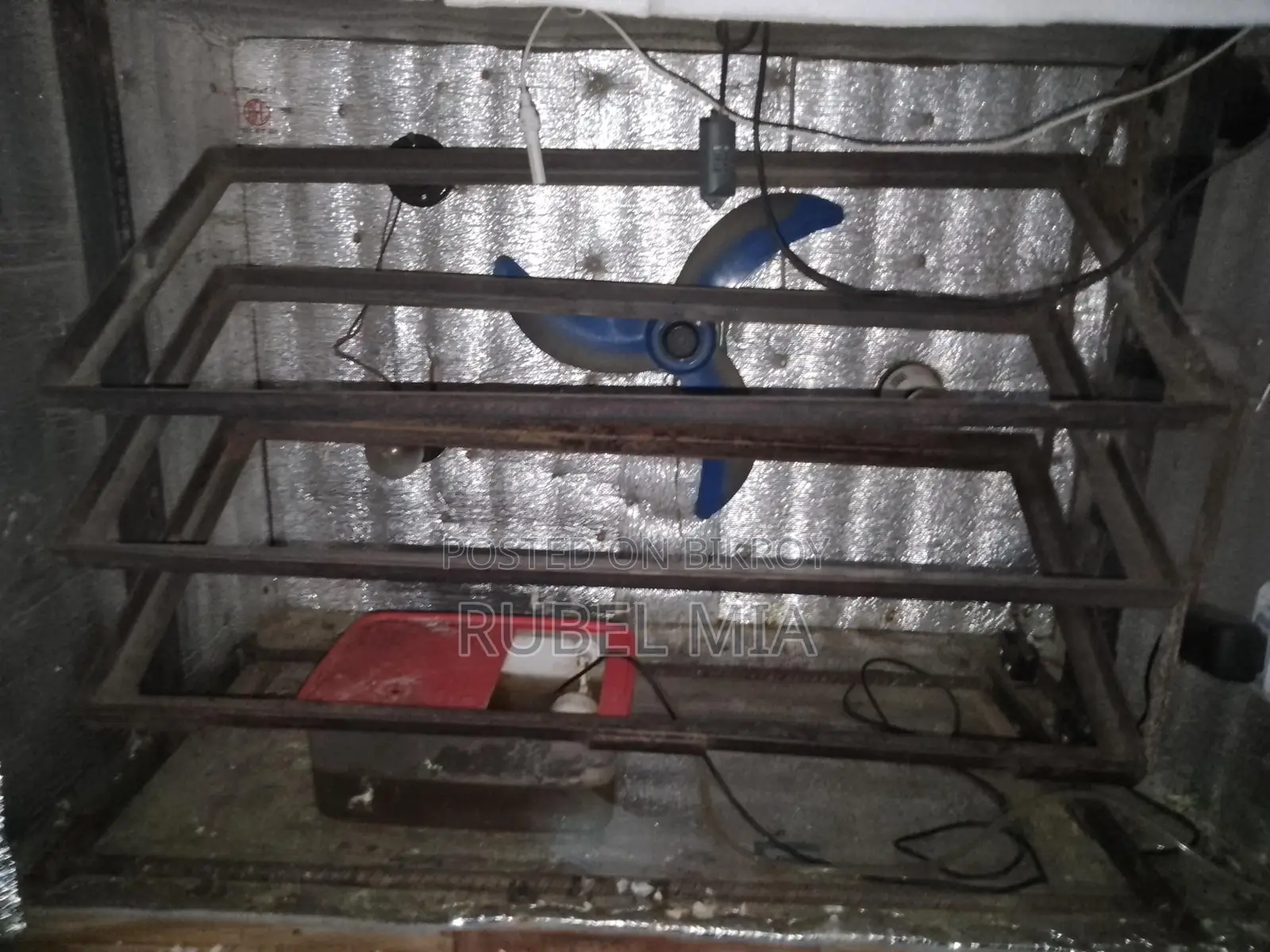 ইনকুবেটর