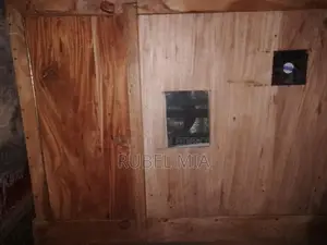 ইনকুবেটর