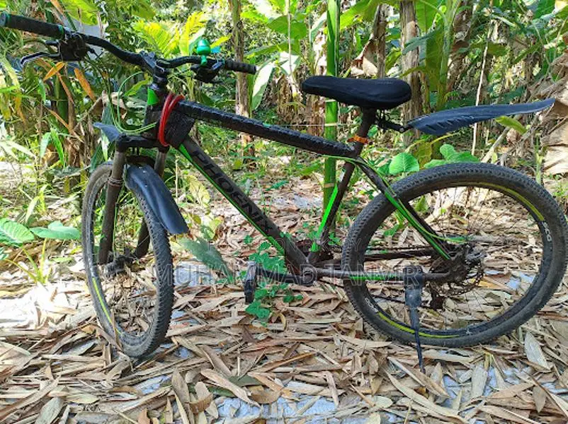 Gear Cycle For Sale