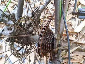 Gear Cycle For Sale