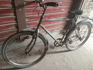 Duranta Bicycle for sale