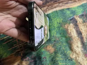 Apple iPhone 13 Pro Max . (Used)