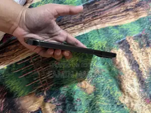 Apple iPhone 13 Pro Max . (Used)