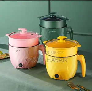 মিনি রাইস কুকার