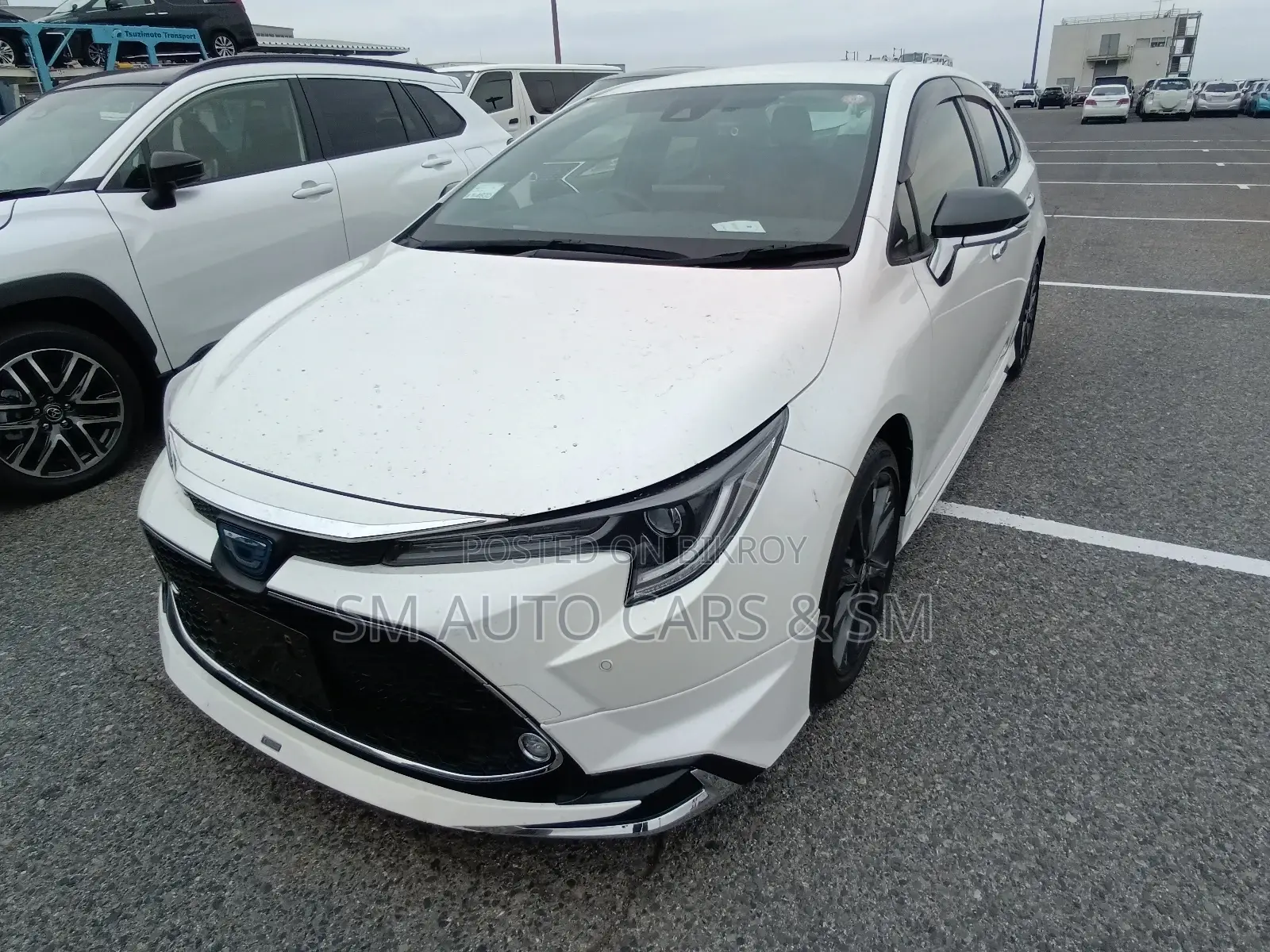 Toyota Corolla WXB Pearl Body Kit 2021