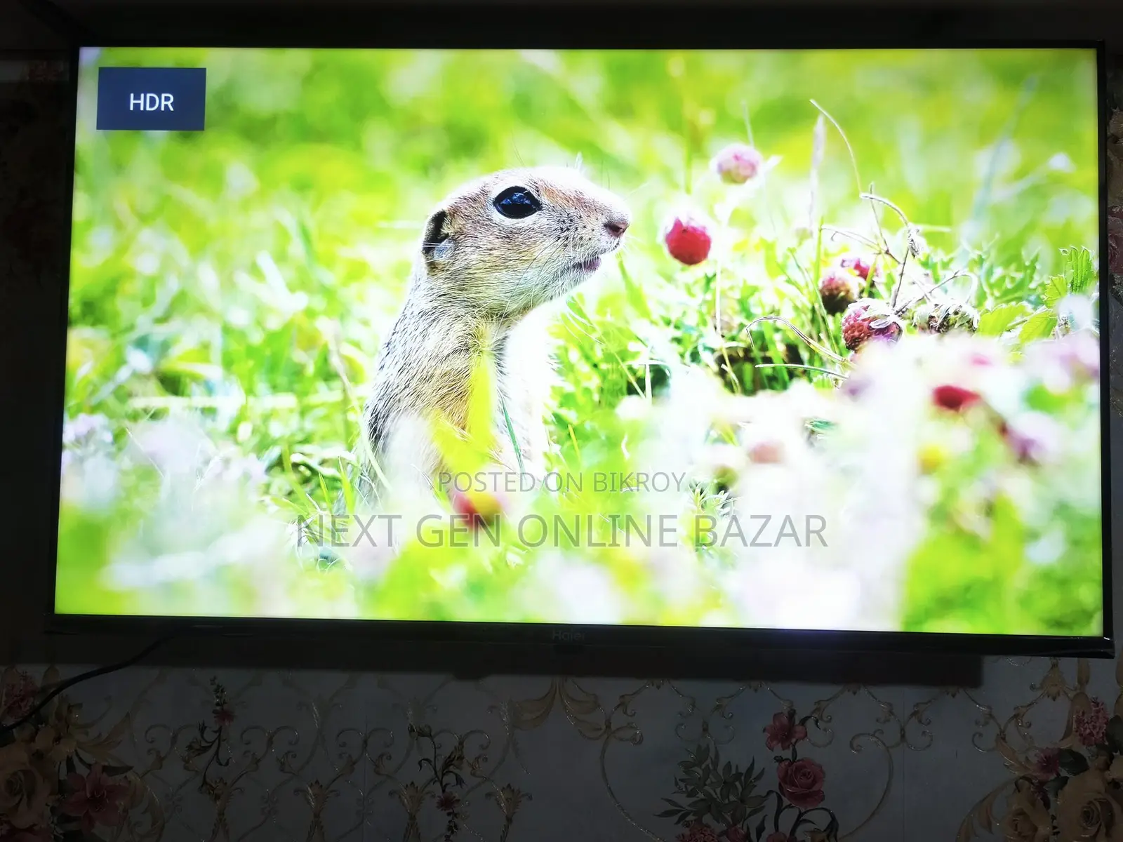 Haier 43" Google Voice TV রিপ্লেসমেন্ট গ্যারান্টি, বক্স আছে
