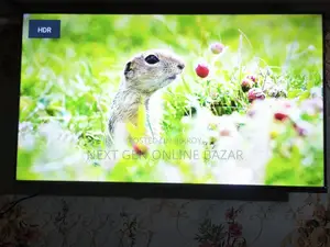 Haier 43" Google Voice TV রিপ্লেসমেন্ট গ্যারান্টি, বক্স আছে