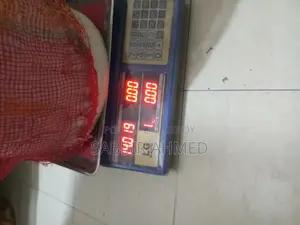 A Digital Scale