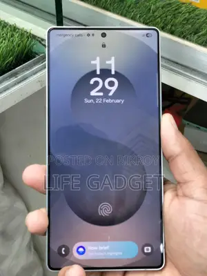 Samsung Galaxy S25 Ultra . (Used)