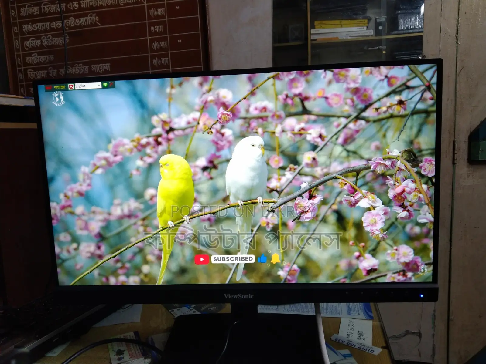 100% Fresh ViewSonic 22 IPS Borderless Monitor