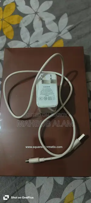 Oneplus 45w Charger