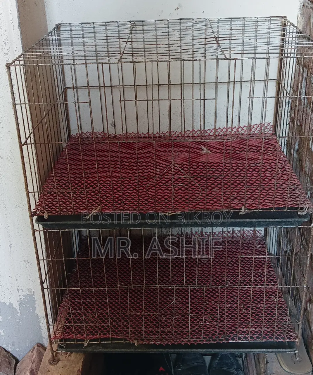 Cage for Raising Pigeons or Chickens