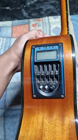 Chard Ea33 Professional Guitar