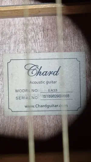 Chard Ea33 Professional Guitar