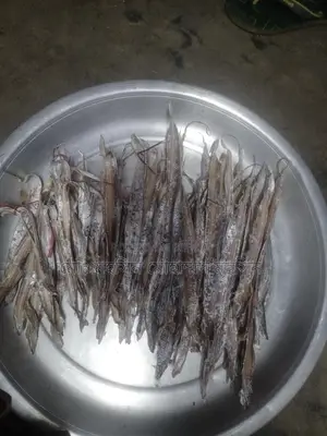Dried Knife Fish (Churi Shutki)