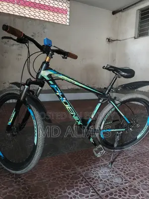 Phoenix Bicycle for Sale