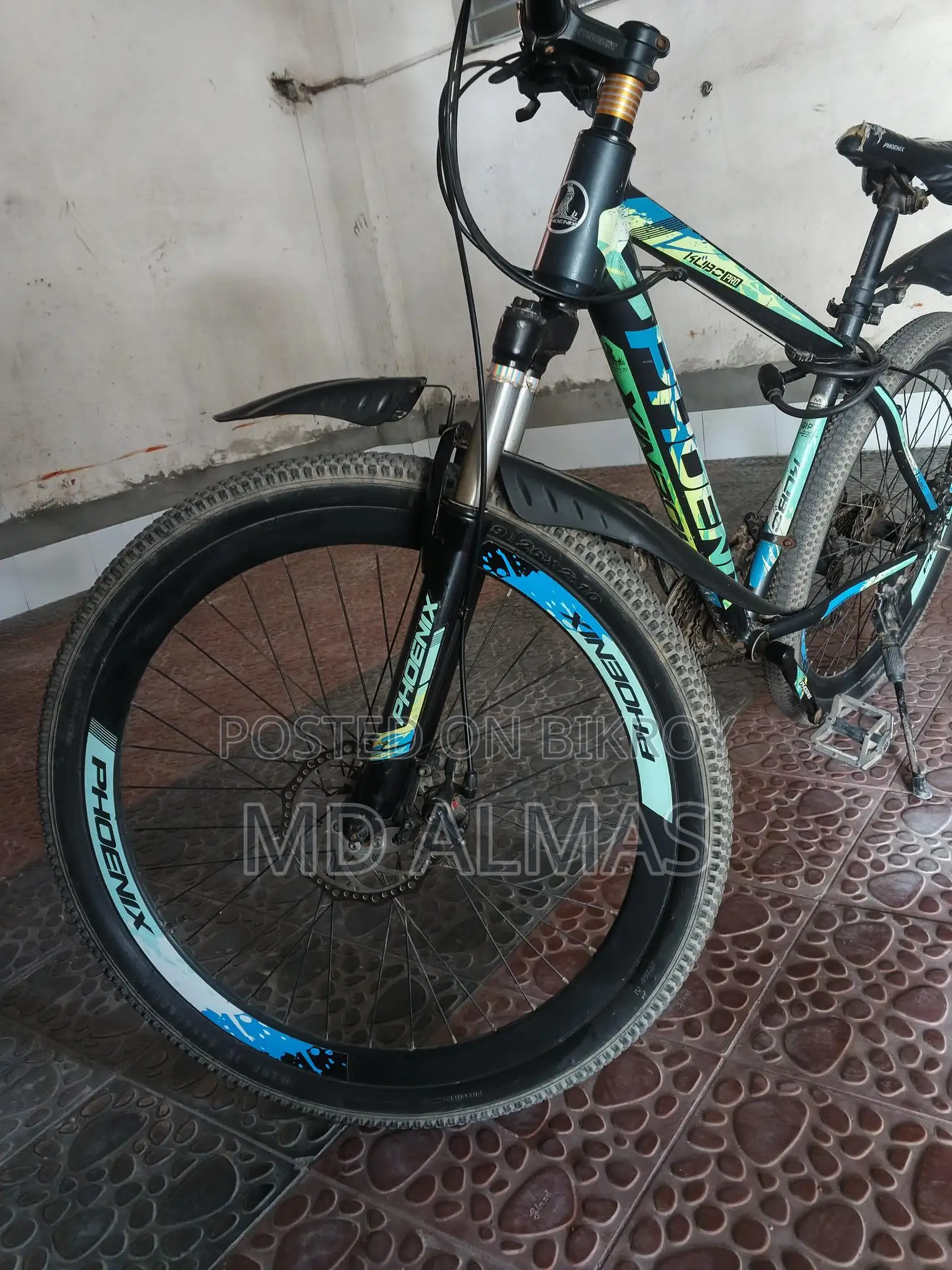 Phoenix Bicycle for Sale