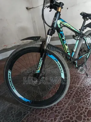 Phoenix Bicycle for Sale