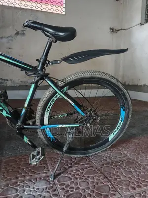 Phoenix Bicycle for Sale