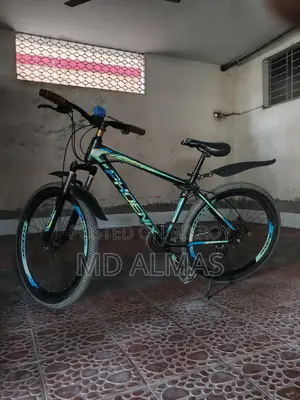 Phoenix Bicycle for Sale