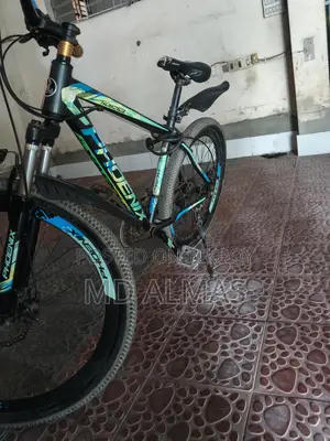 Phoenix Bicycle for Sale