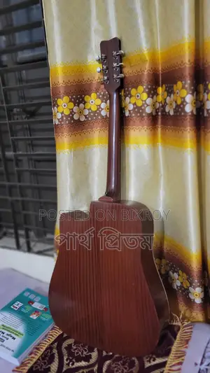 Acoustic Guitar