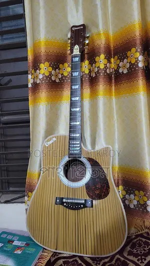 Acoustic Guitar
